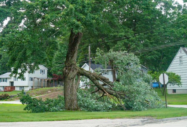 Best Residential Tree Removal  in Le Grand, CA